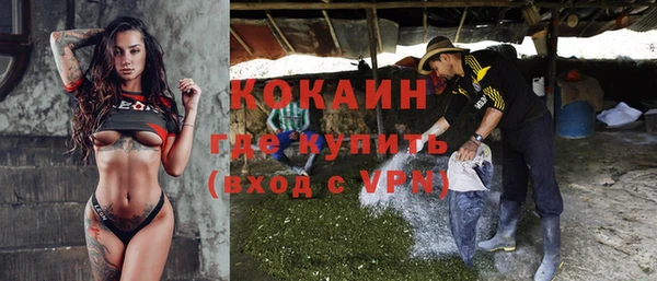 амф Алексин